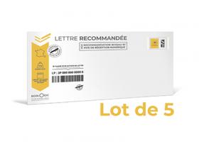 LVS 100G LOT 100 C5  SS FEN (2025)