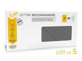 Prêt-à-Poster - Lettre recommandée - 20g - DL - avec fenêtre - Lot de 5