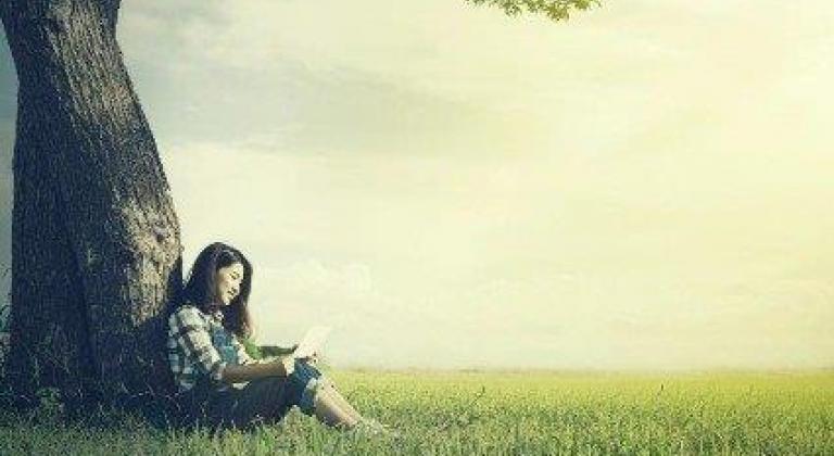 Visuel offre Lettre Verte